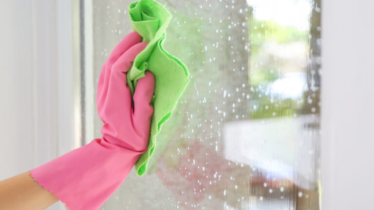 3 Ingredient DIY window Cleaner ✅