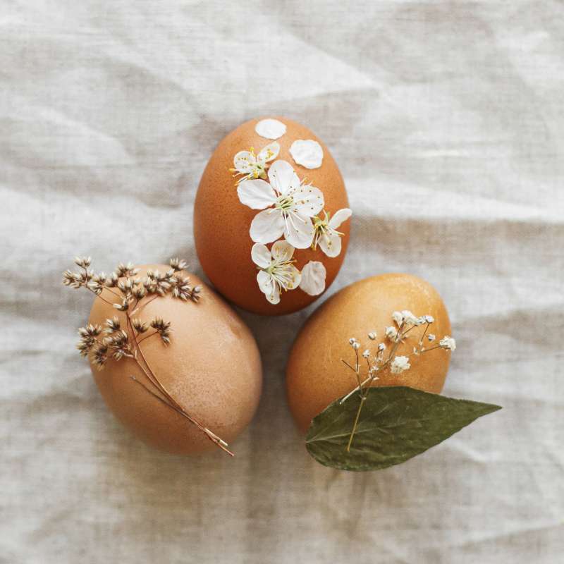 real flower Easter eggs