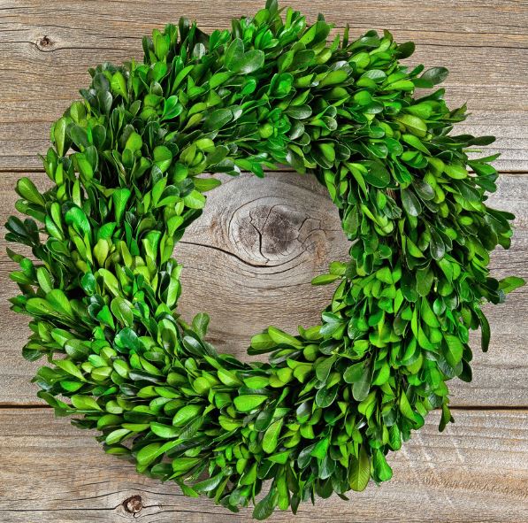 Simple green spring wreath