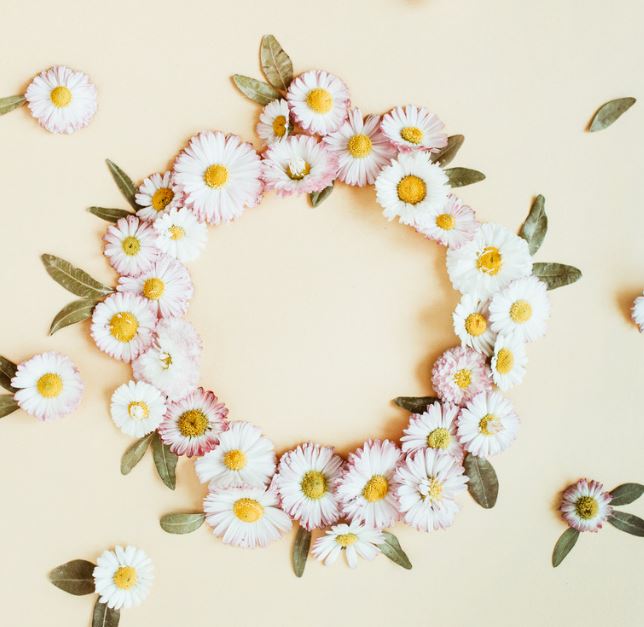 Daisy spring wreath