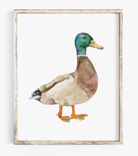 Original Duck Paintings