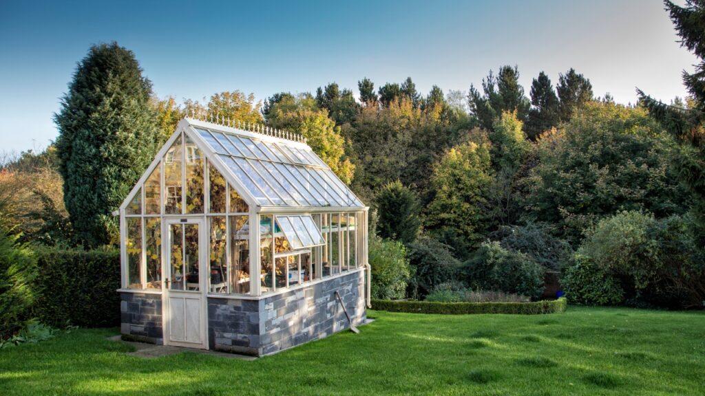 10 Greenhouse Plants That Will Thrive 🌿 - Trendsetter A List