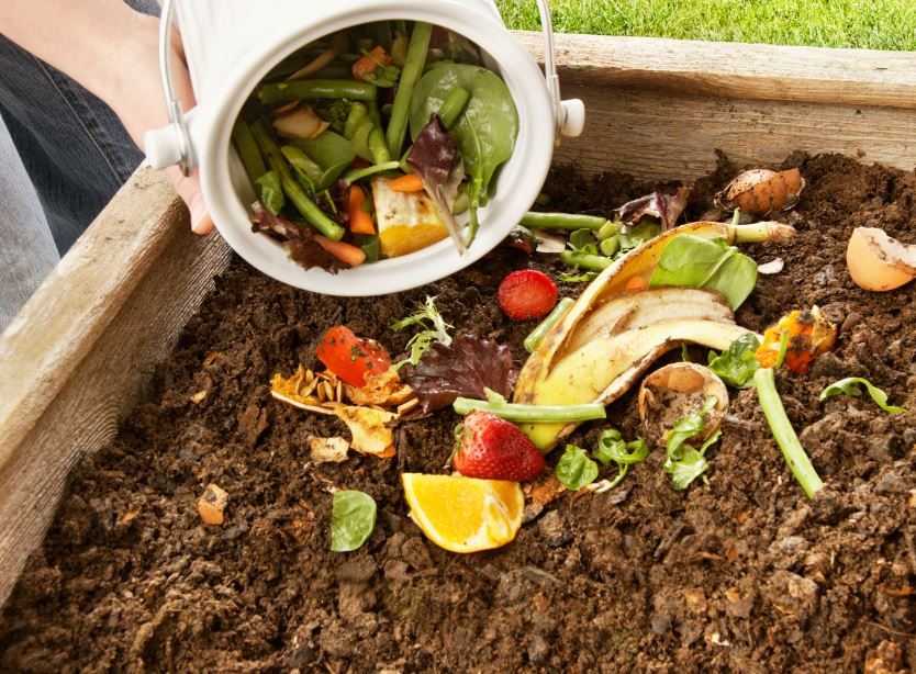 Waste Reduction through Composting