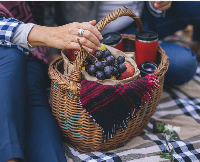 Picnic in the Living Room: