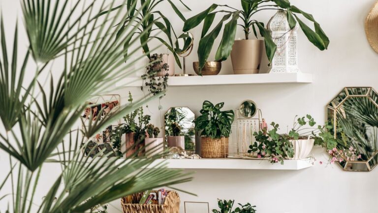 best etsy plant shops