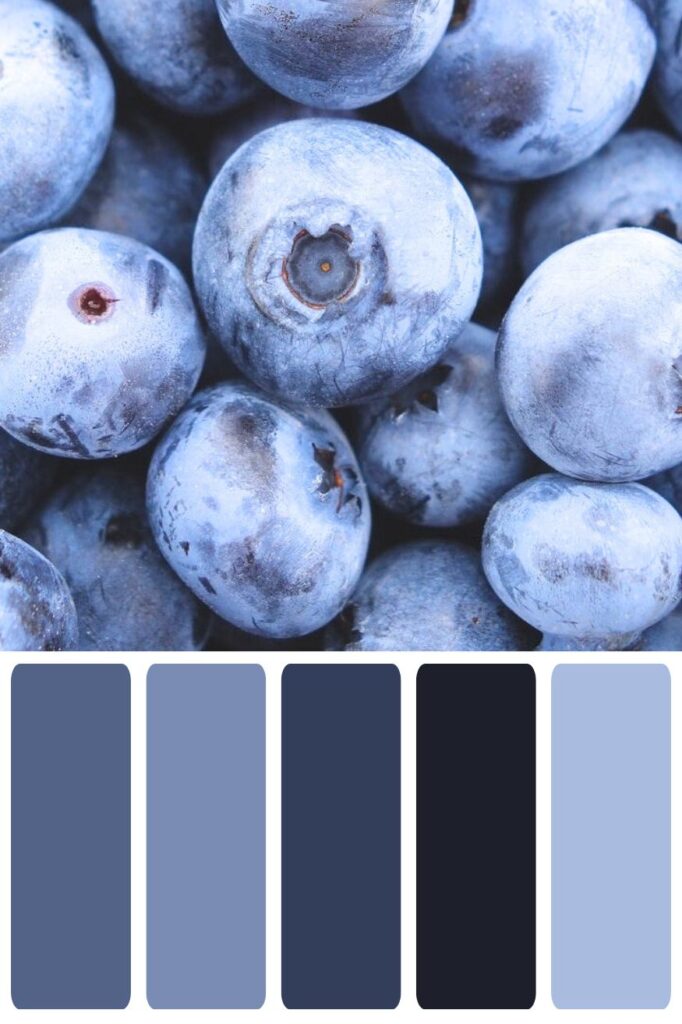 Blueberry Color Palette