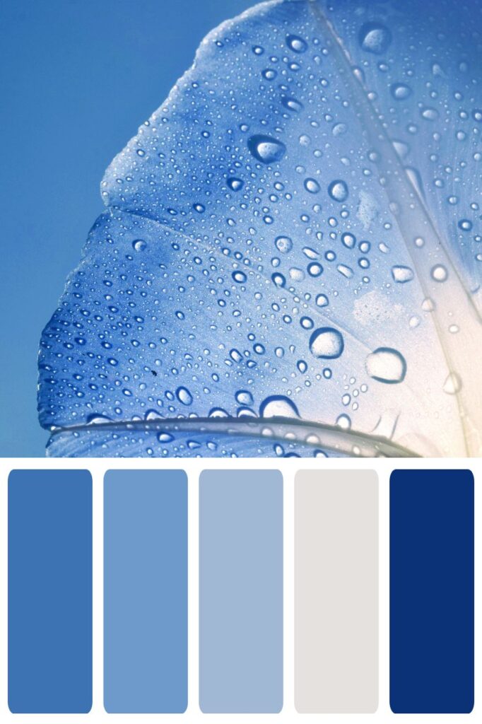Blue Flower Rain Color Palette